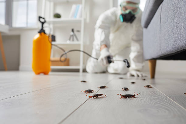 Commercial Kitchen Cockroach Control in Miamisburg